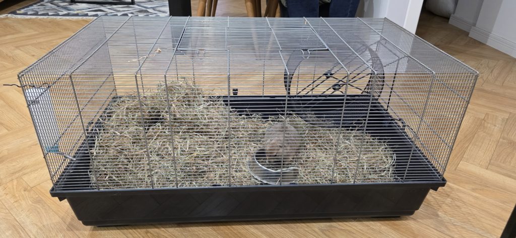 Klatka dla pieska preriowego