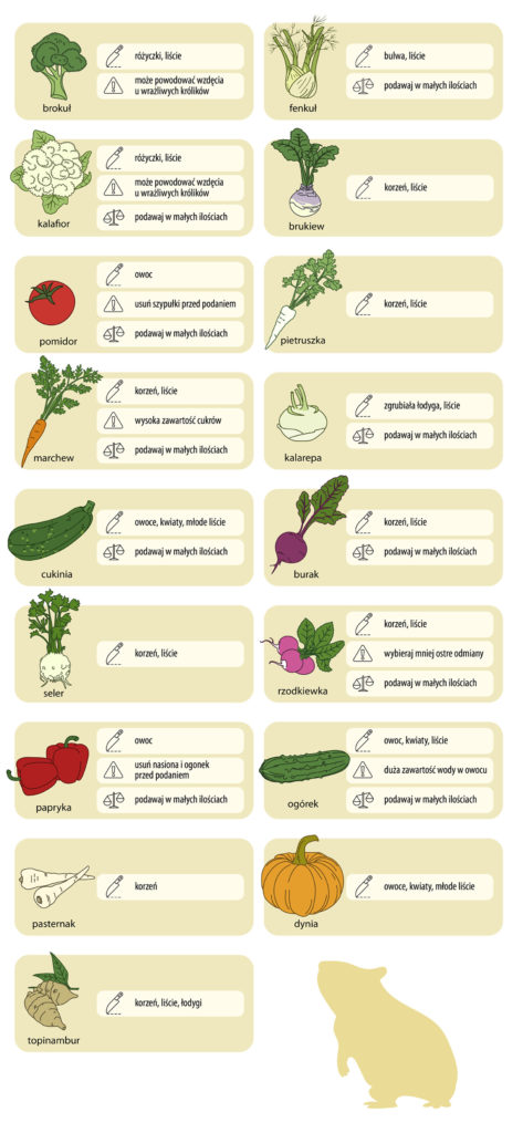 Warzywa dla świnki morskiej.